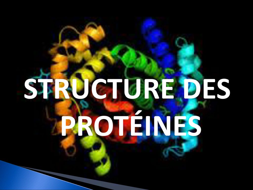 STRUCTURE DES PROTÉINES ppt télécharger